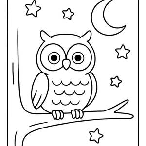 Nighttime Owl Coloring Page